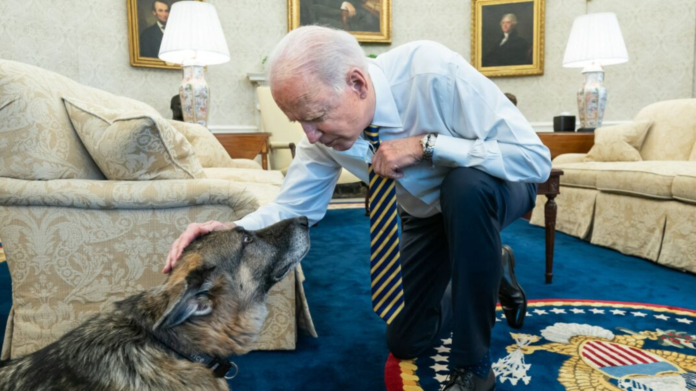 Commander, le chien de Joe Biden a (encore) mordu un agent de son service de sécurité