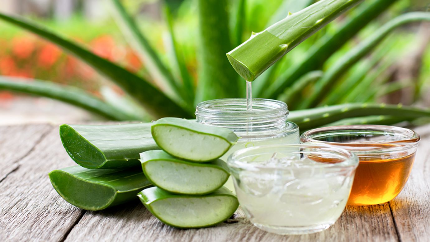 Aloe Vera