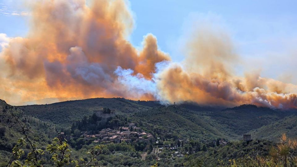 Incendie en cours entre Castelnou et Camélas : déjà 150 hectares de brûlés