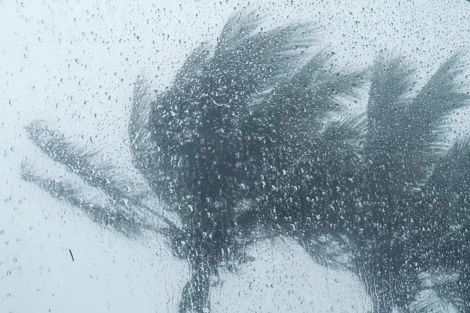 Cyclone Garance à La Réunion